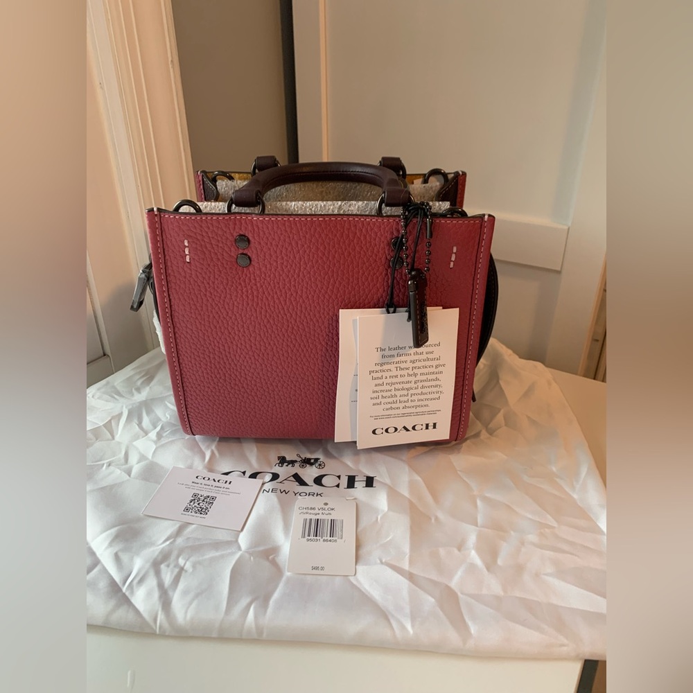 Coach Rogue 20 in Colorblock